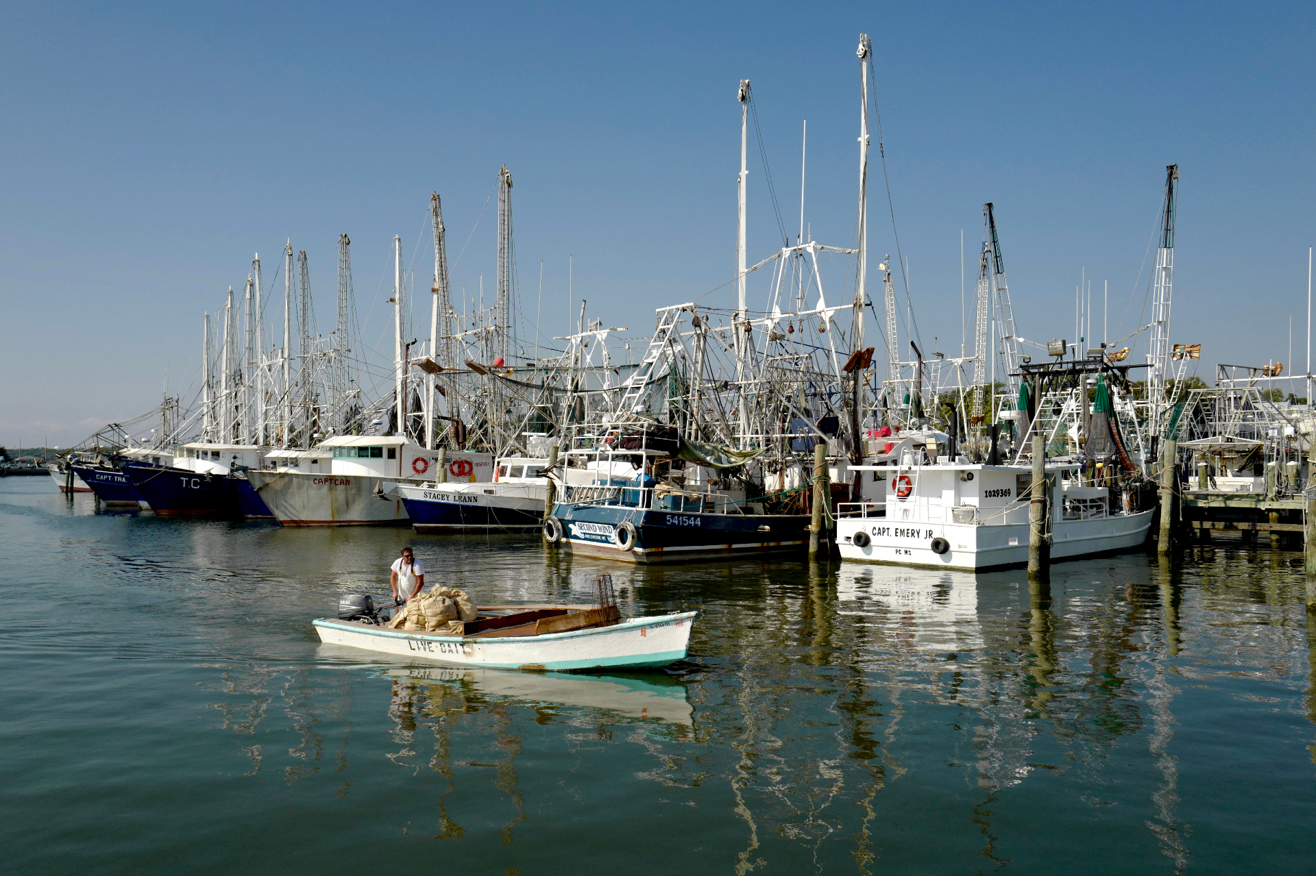 Shrimp boats in harbor